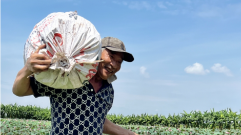 Lão nông thu nhập 200 triệu đồng mỗi năm từ trồng sen và chuối