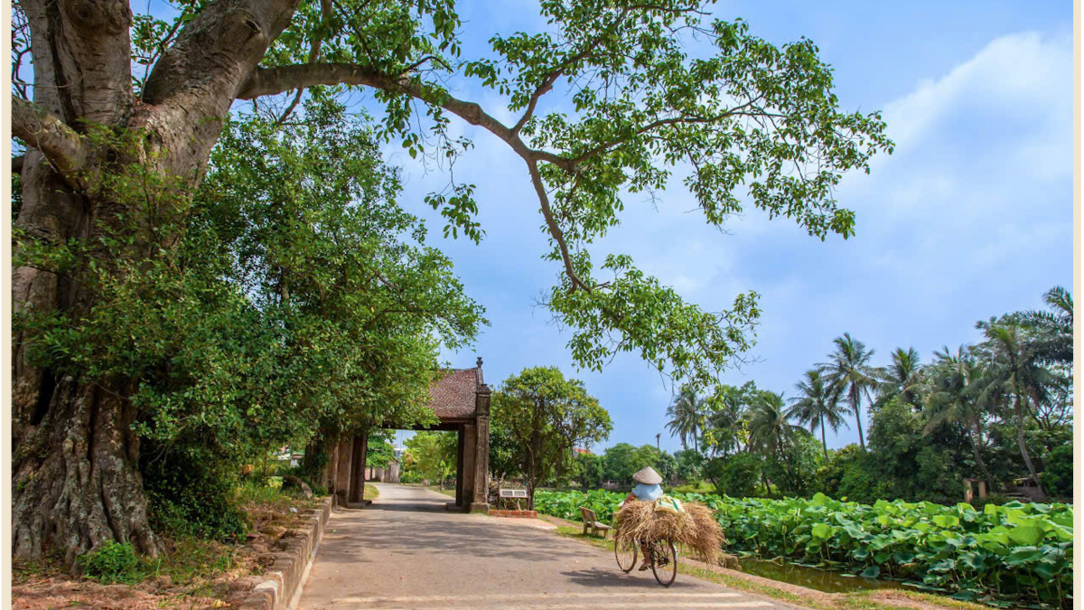 Cổng làng cổ Đường Lâm, Hà Nội, nơi chứa đựng ký ức cộng đồng. Ảnh: Nina May