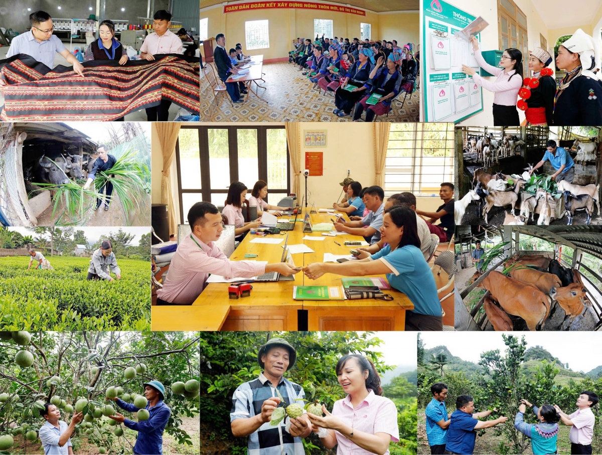 Tín dụng chính sách xã hội đã trở thành một "điểm sáng", là một "trụ cột" trong hệ thống chính sách giảm nghèo, bảo đảm an sinh xã hội, đáp ứng nguyện vọng của nhân dân.