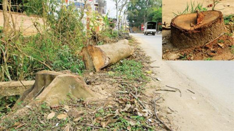 image-article