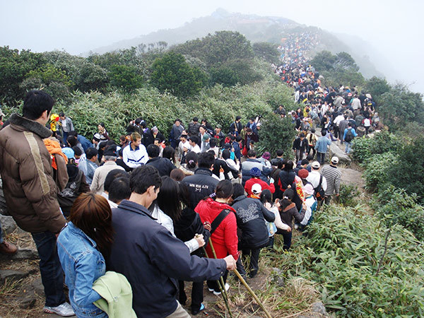 image-article