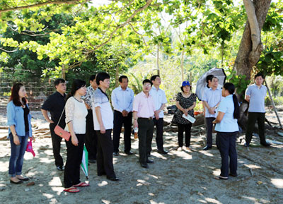 image-article