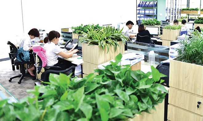 image-article