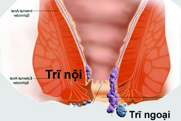 image-article