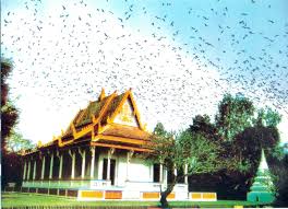 image-article