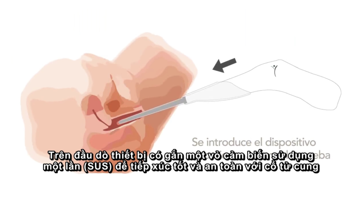 image-article