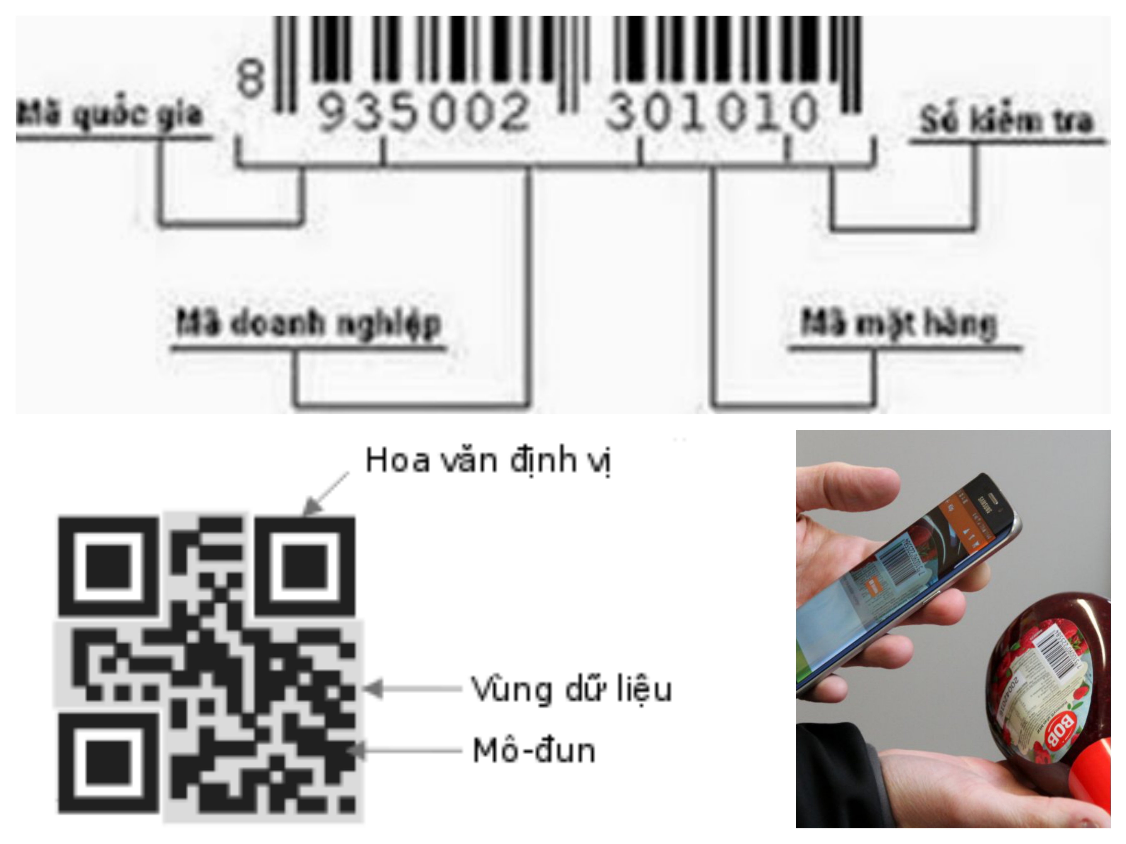 image-article