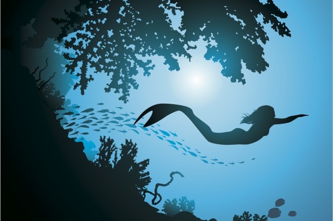 image-article