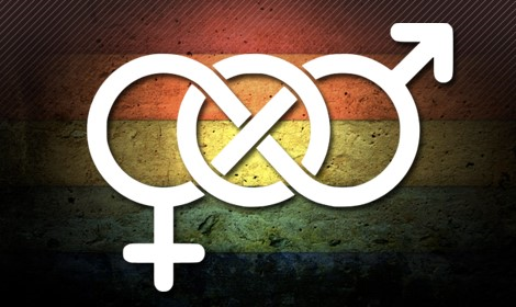 image-article