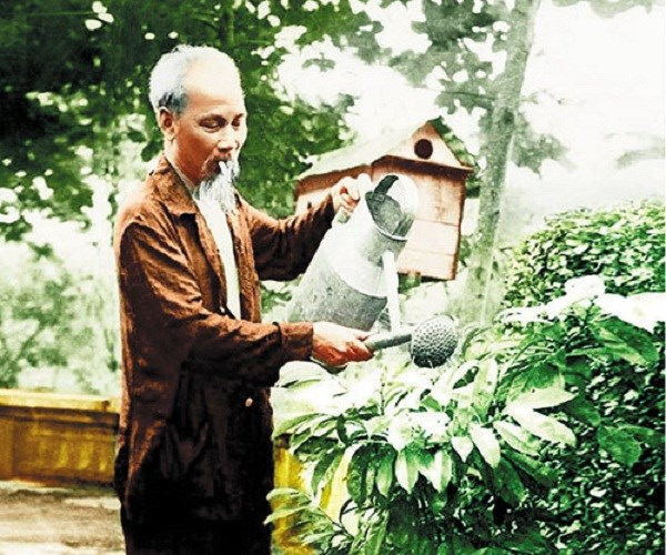 image-article
