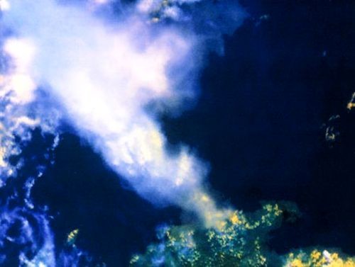 image-article
