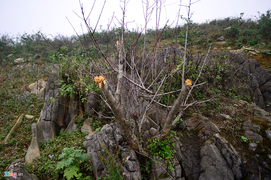 image-article