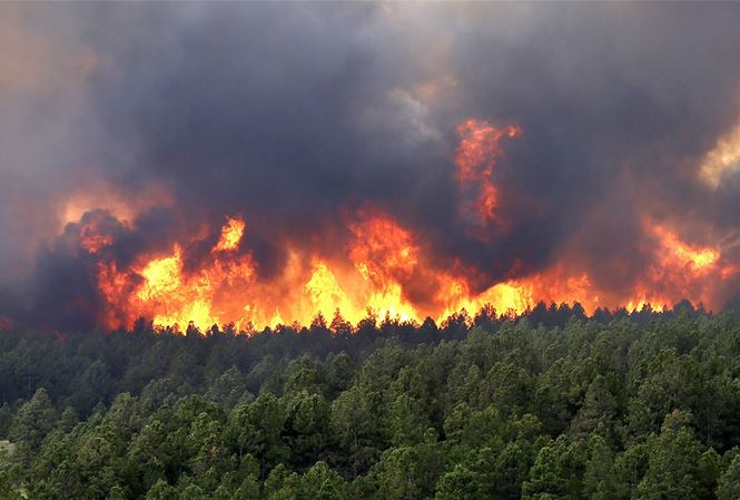 image-article