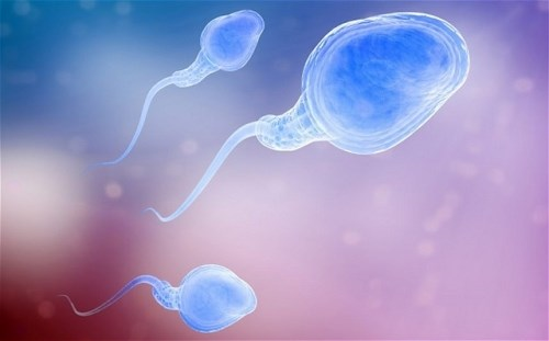 image-article