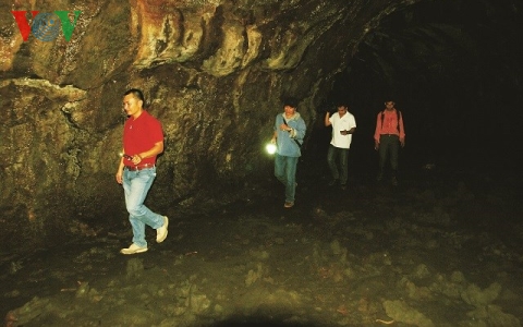 image-article