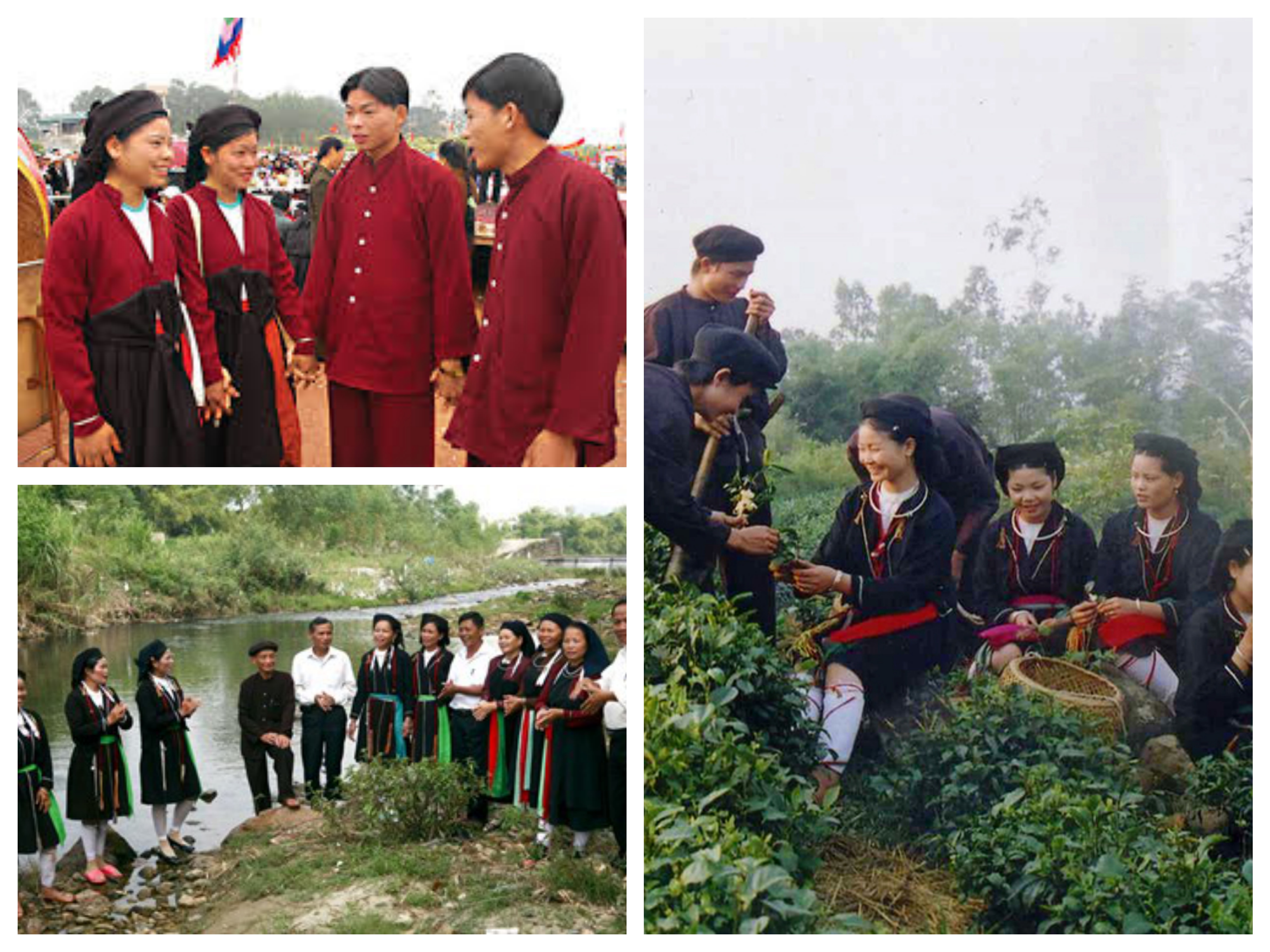 image-article