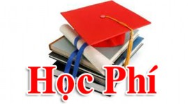 image-article