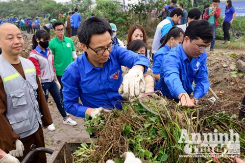 image-article