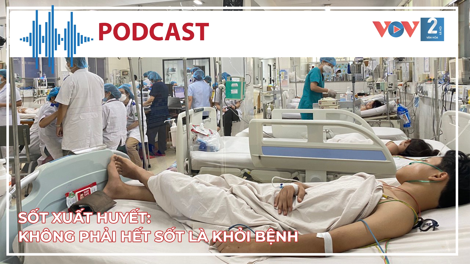 Sốt xuất huyết: không phải hết sốt là khỏi bệnh