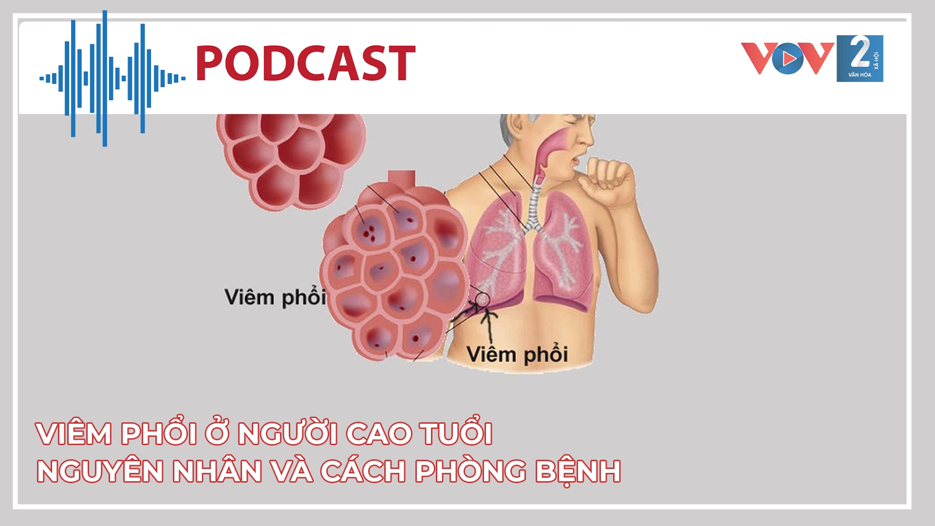 Viêm phổi ở người cao tuổi - nguyên nhân và cách phòng bệnh  