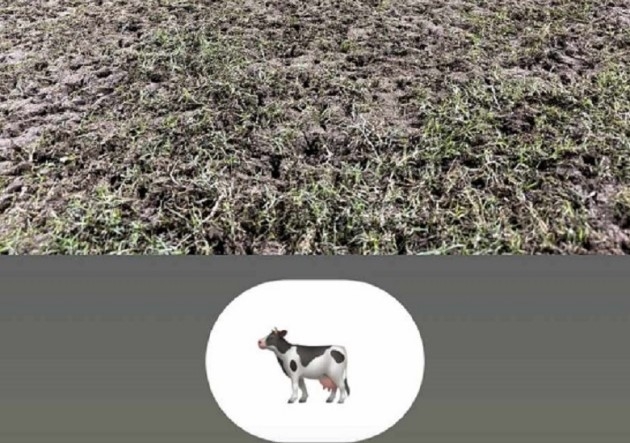 V.League - cần chuyên nghiệp từ mặt cỏ