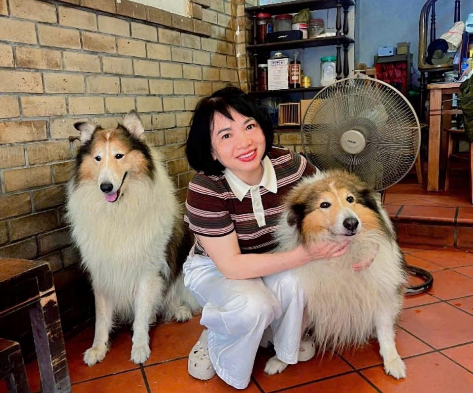 Phòng ngừa nguy cơ mất an toàn từ thú cưng