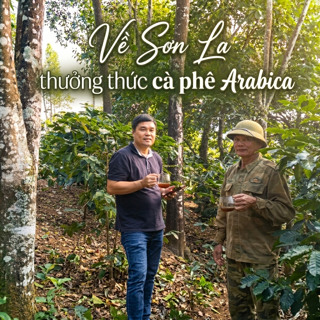 Về Sơn La hòa mình vào thiên nhiên và thưởng thức và phê Arabica trứ danh