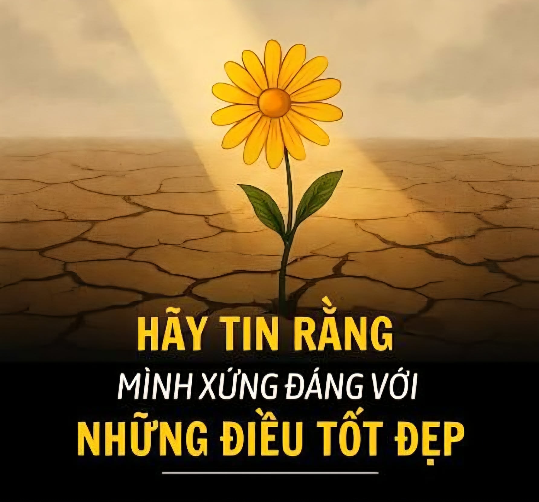 Hãy tin vào những điều tốt đẹp