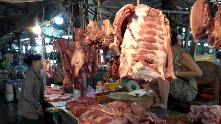 Liên tiếp phát hiện lợn bệnh người dân có nên quá hoang mang?