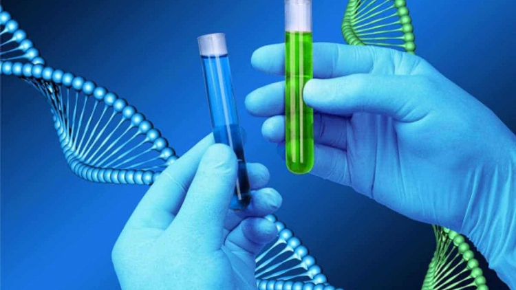 Xét nghiệm gene để sinh con khỏe mạnh không mắc bệnh di truyền