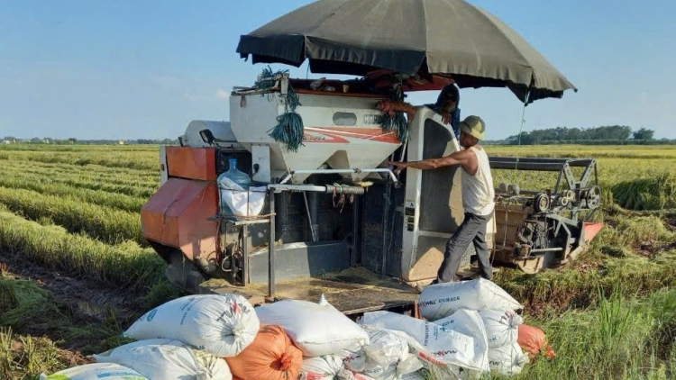 Nông dân thoát nghèo nhờ được dạy nghề làm nông nghiệp