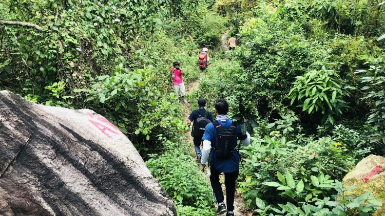 Trekking - Khám phá thiên nhiên và thách thức bản thân