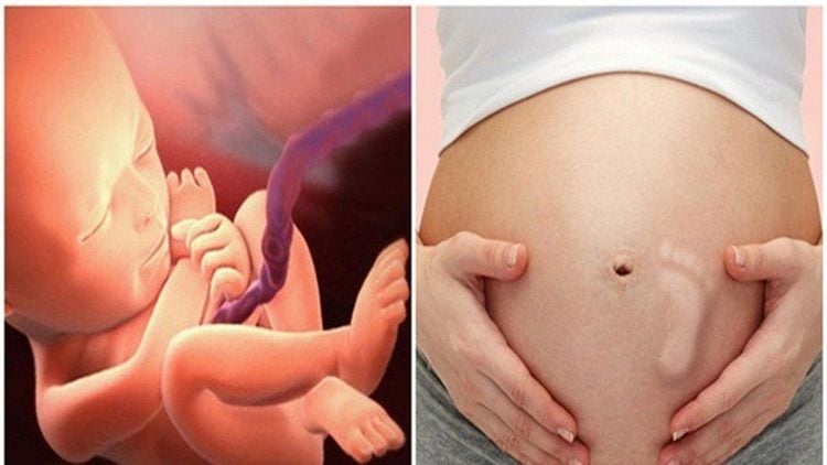 Cử động của thai nhi thế nào là bình thường? 
