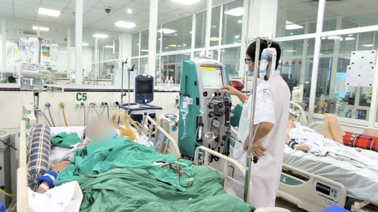 Sốc nhiễm trùng, suy đa tạng vì vết xước khi đi làm đồng