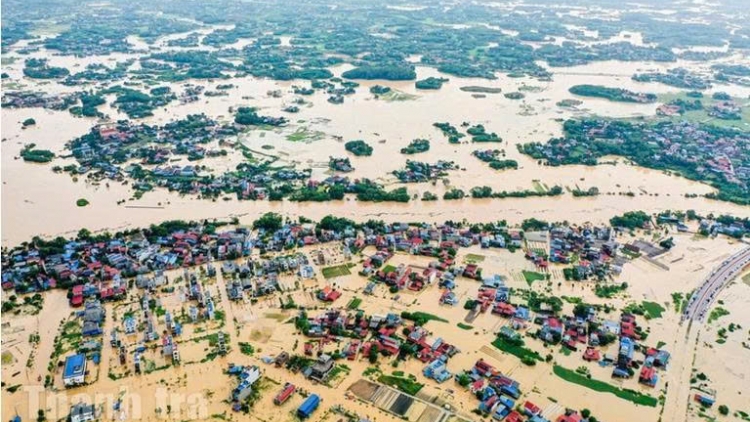 Đơn giản hóa thủ tục miễn, giảm, gia hạn nộp thuế do bị thiệt hại vì thiên tai