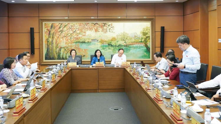 Đại biểu Quốc hội hiến kế chống ngập úng đô thị