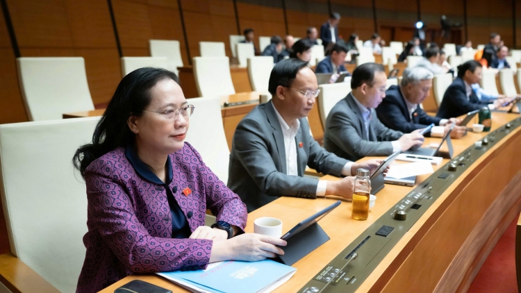 Không phân biệt đầu tư công và đầu tư tư đối với các dự án y tế, giáo dục