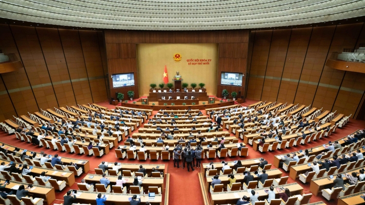 Cần quy định chặt chẽ quyền hiến mô, tạng của phạm nhân