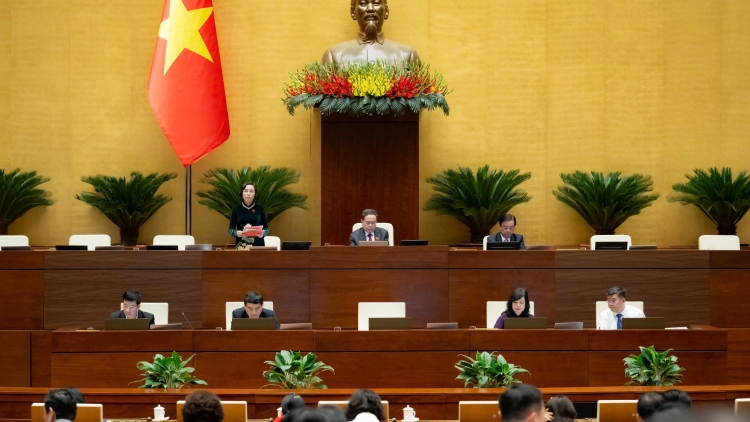 Dự thảo Luật Phòng bệnh cần hướng đến công bằng y tế cho mọi người