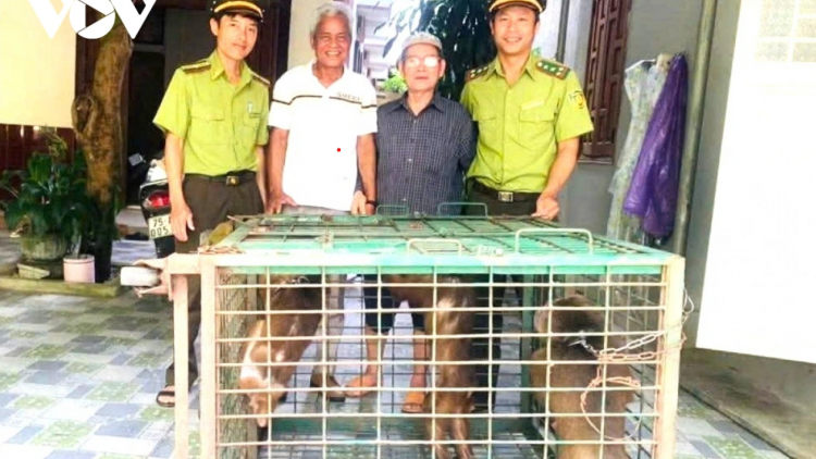 Nâng cao nhận thức cộng đồng là “chìa khóa”  bảo vệ động vật quý hiếm