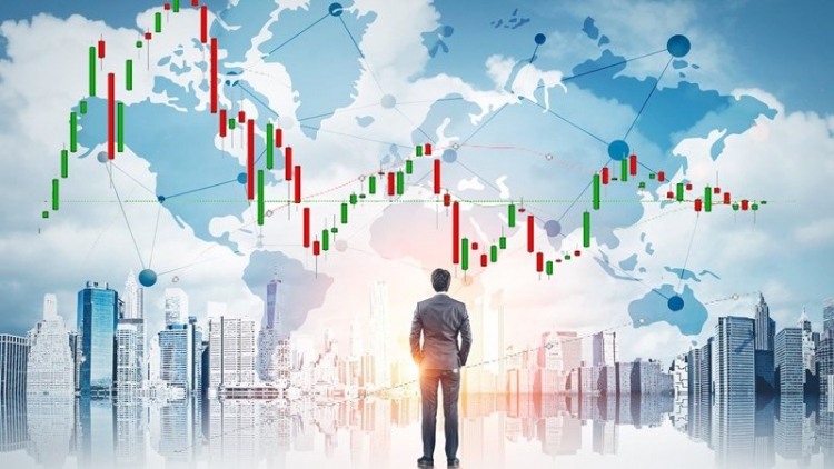 Nhà đầu tư chứng khoán chuyên nghiệp được hưởng nhiều đặc quyền