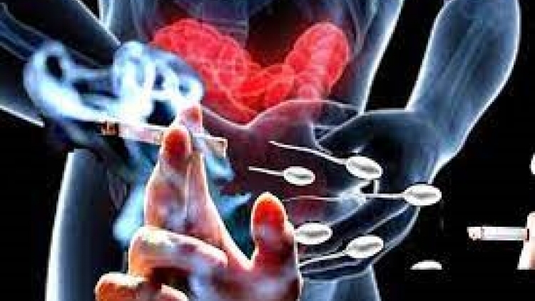 Phòng the nguội lạnh, vợ chồng vô sinh vì thuốc lá