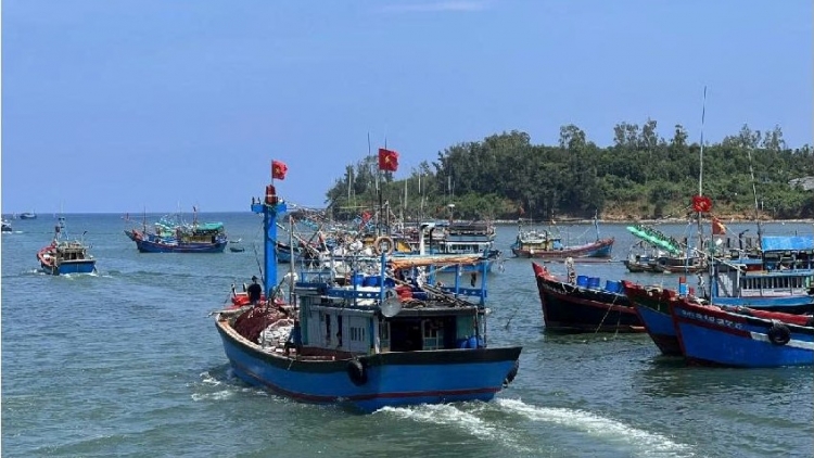 Luật Thủy sản - nền tảng pháp lý cho những chuyến vươn khơi bám biển