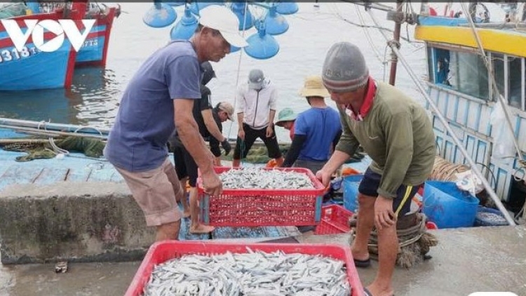 Hoàn thiện khung pháp lý nhằm bảo vệ và phát triển bền vững ngành thủy sản