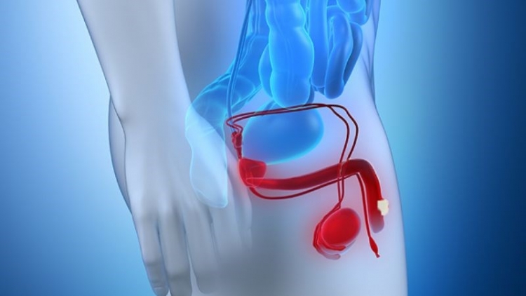 Những thói quen khiến người trẻ dế mắc ung thư dương vật