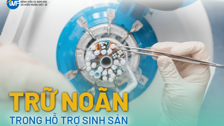 Quy trình dự trữ sinh sản: Ghi nhận từ thực tế