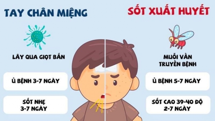 Sốt xuất huyết và tay chân miệng vẫn ghi nhận nhiều ca bệnh nặng