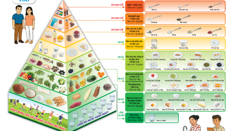 Tháp dinh dưỡng Mỹ có phù hợp với người Việt?