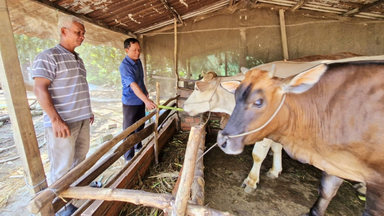  Gương sáng Bí thư chi bộ người Khmer