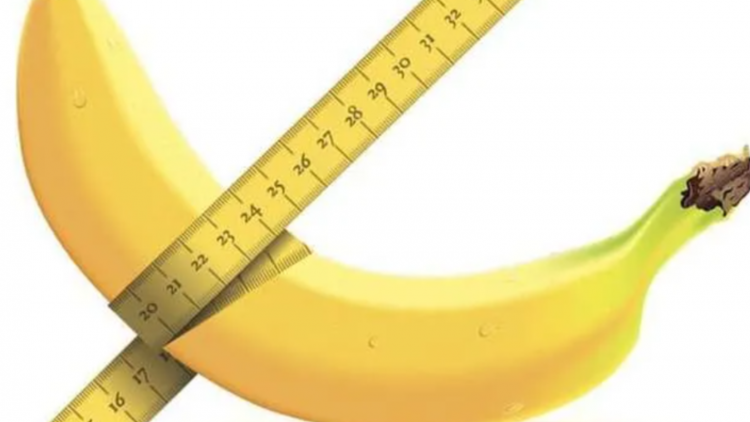 Khi “cậu nhỏ” quá khổ: Lợi thế hay áp lực thầm kín?